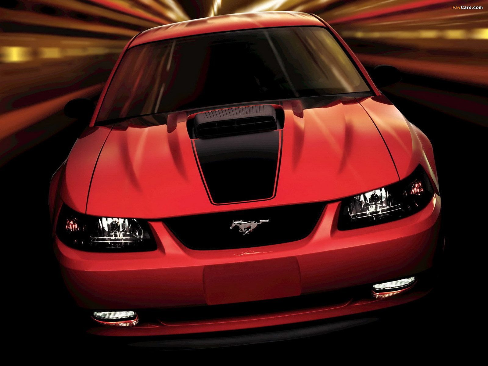 Mustang Mach 1 2003–04 pictures (1600 x 1200)