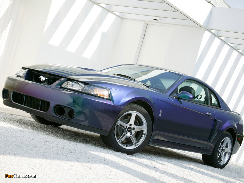 Mustang SVT Cobra Mystichrome 2004 images (800 x 600)