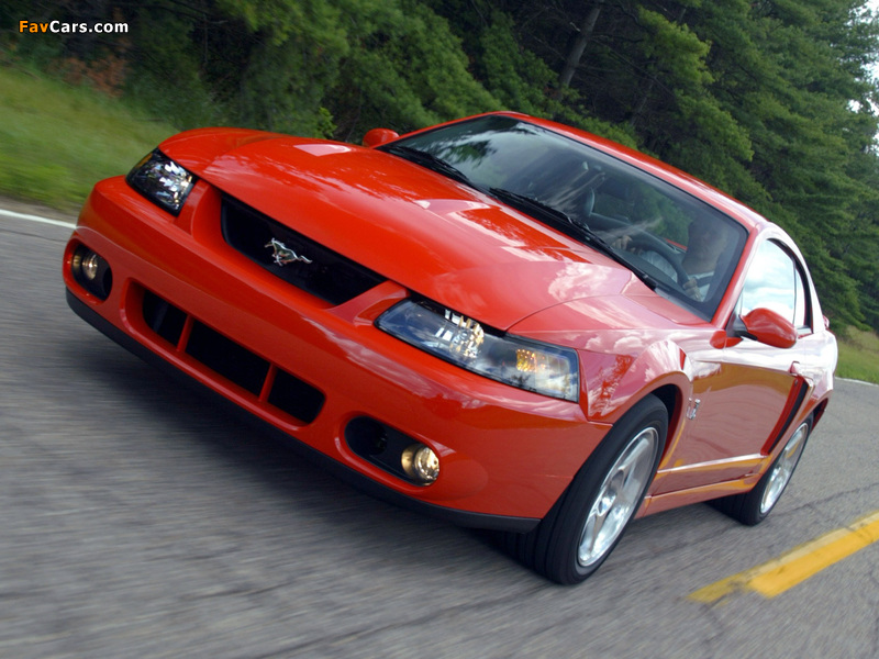 Mustang SVT Cobra Coupe 2004–05 images (800 x 600)