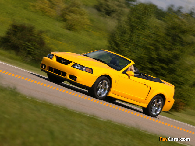Mustang SVT Cobra Convertible 2004–05 photos (640 x 480)