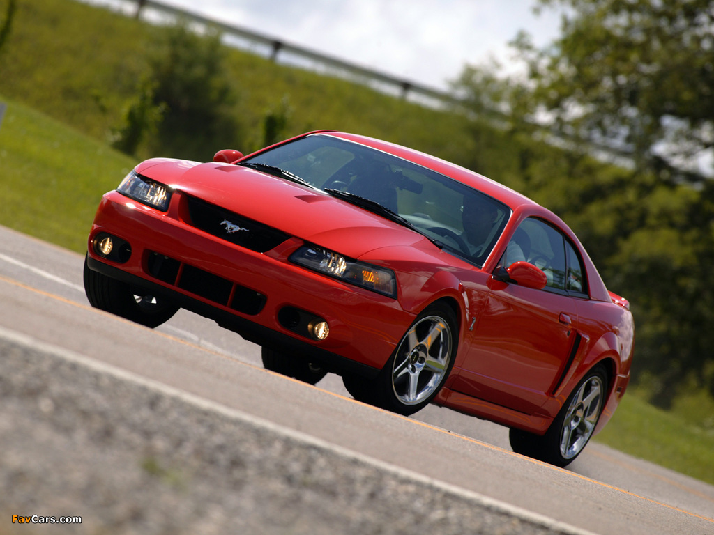 Mustang SVT Cobra Coupe 2004–05 photos (1024 x 768)
