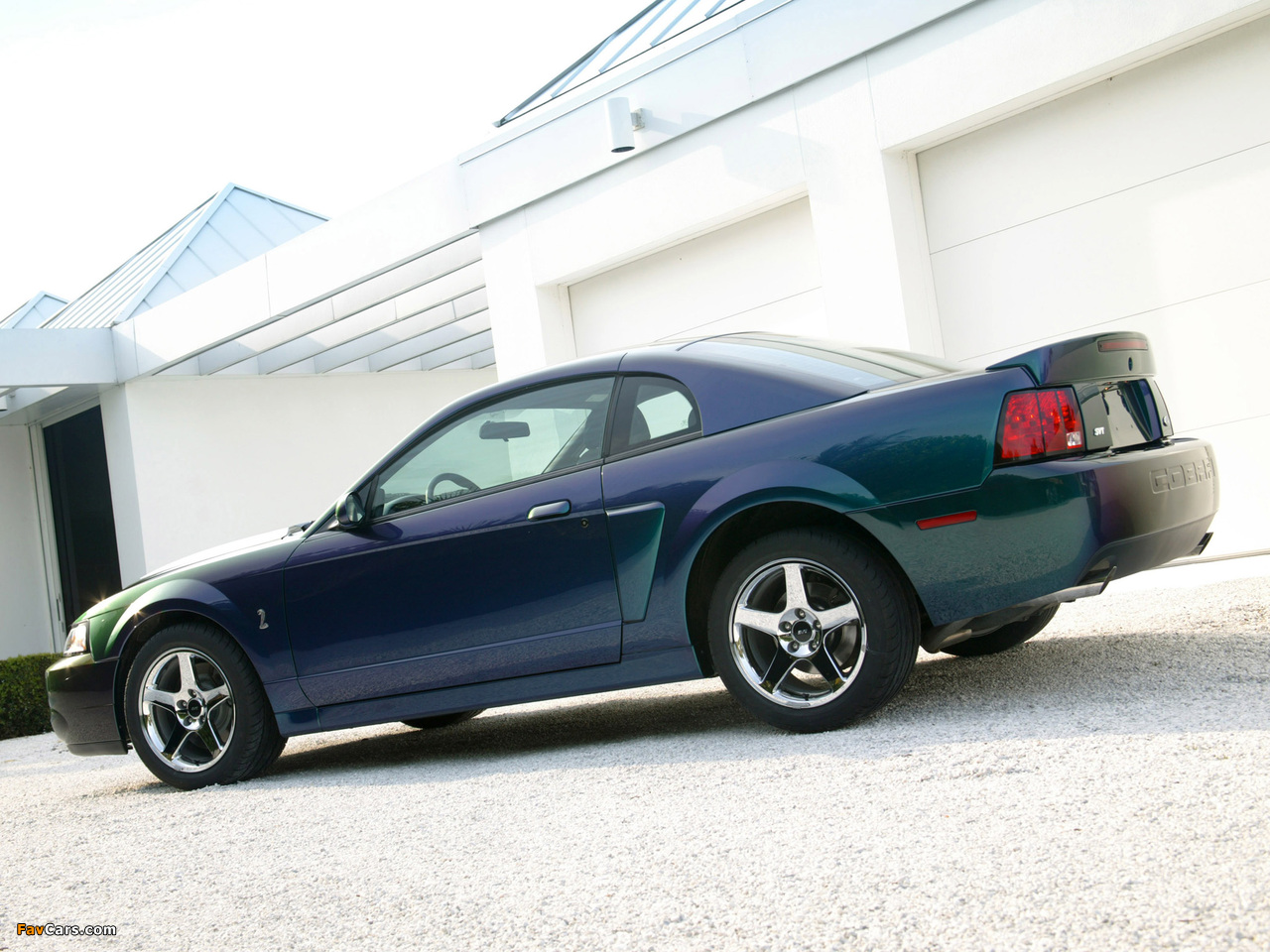Mustang SVT Cobra Mystichrome 2004 photos (1280 x 960)