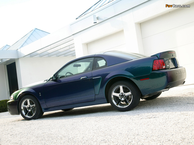 Mustang SVT Cobra Mystichrome 2004 photos (800 x 600)