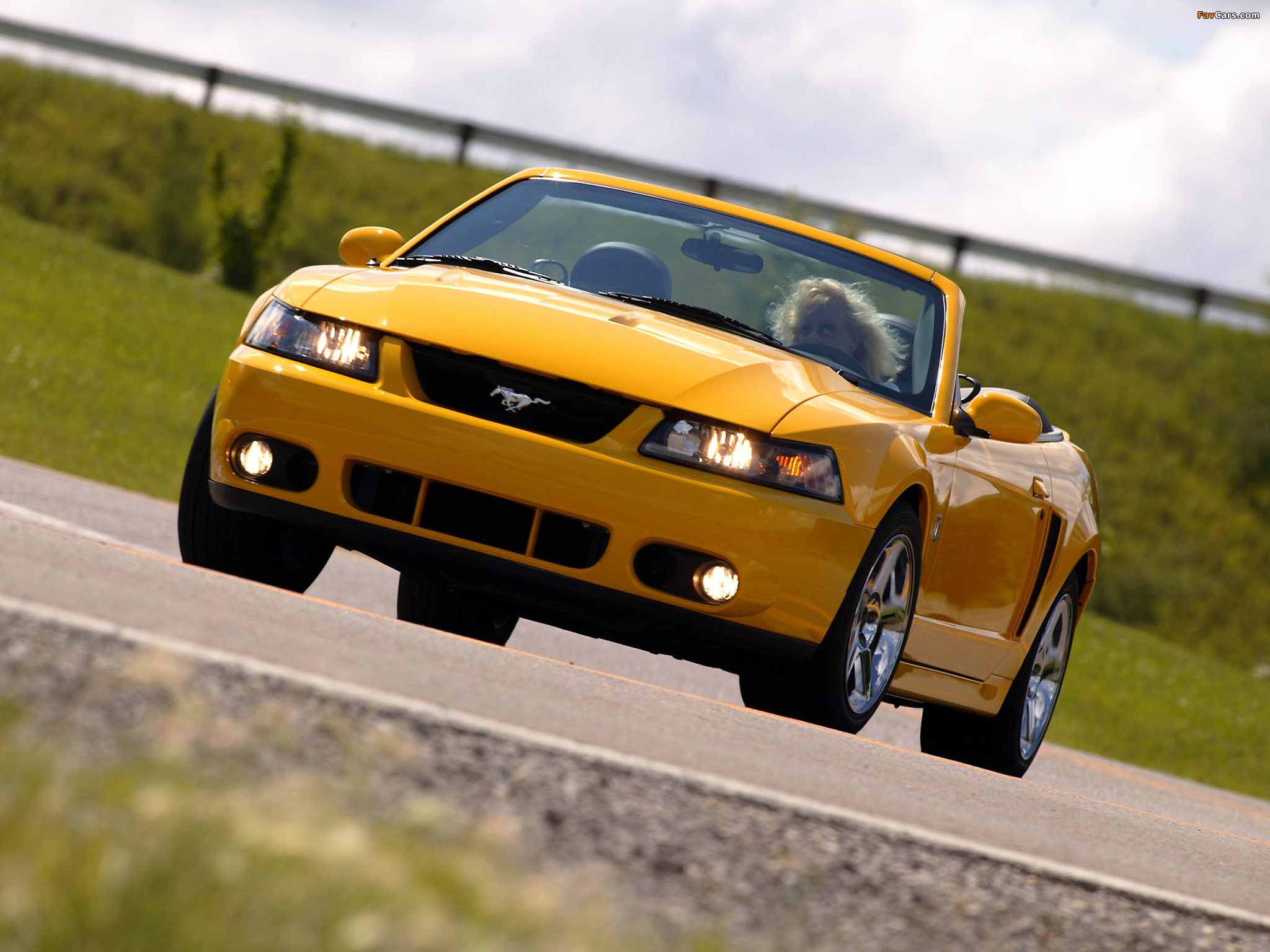 Mustang SVT Cobra Convertible 2004–05 photos (2048 x 1536)