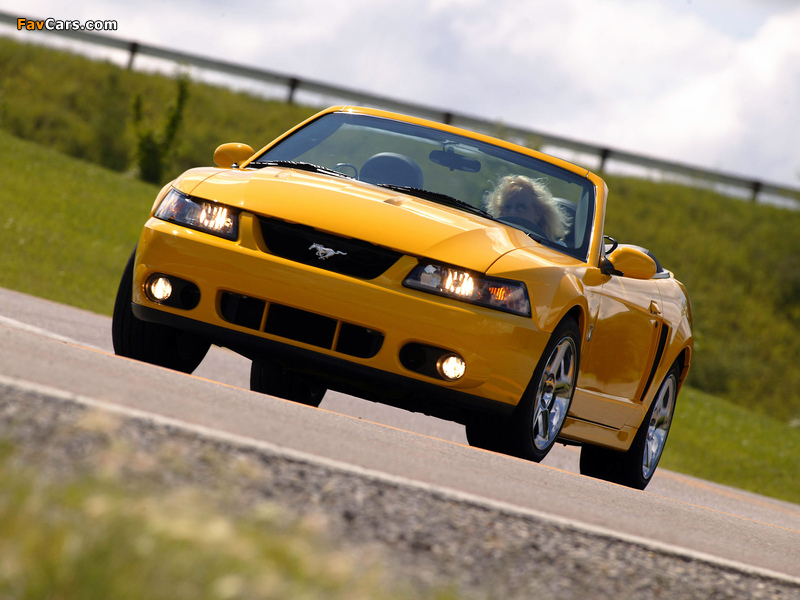 Mustang SVT Cobra Convertible 2004–05 photos (800 x 600)