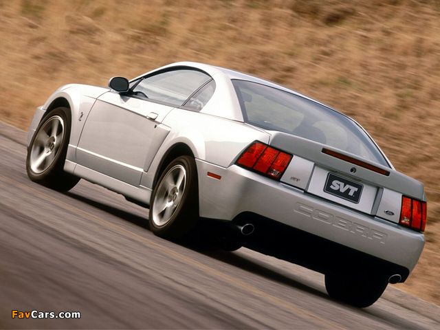 Mustang SVT Cobra Coupe 2004–05 pictures (640 x 480)