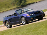 Mustang SVT Cobra Convertible 2004–05 wallpapers