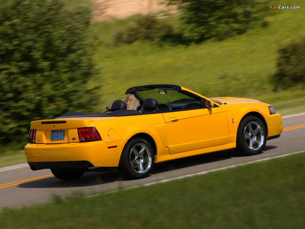 Mustang SVT Cobra Convertible 2004–05 wallpapers (1024 x 768)