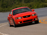 Mustang SVT Cobra Coupe 2004–05 wallpapers