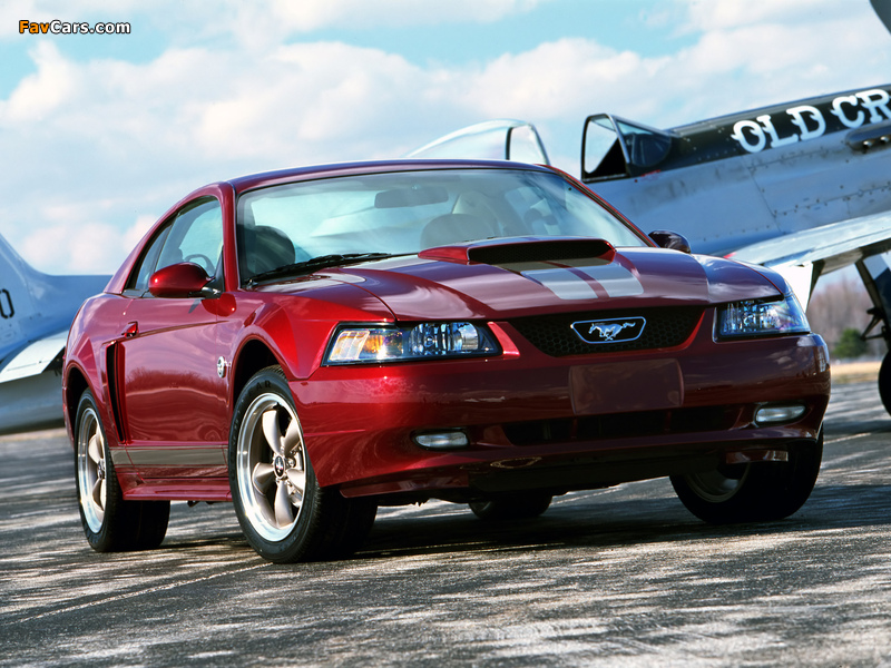 Mustang Coupe 40th Anniversary 2004 wallpapers (800 x 600)