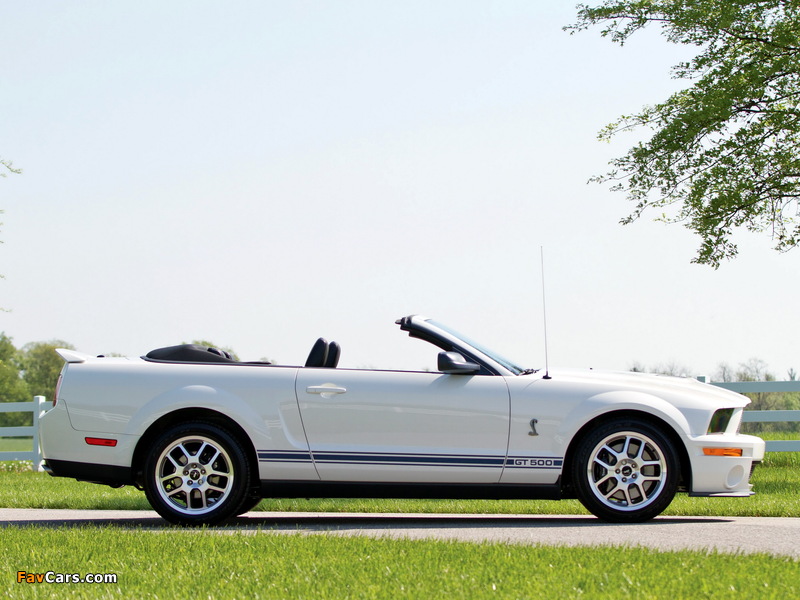 Shelby GT500 Convertible 2005–08 images (800 x 600)