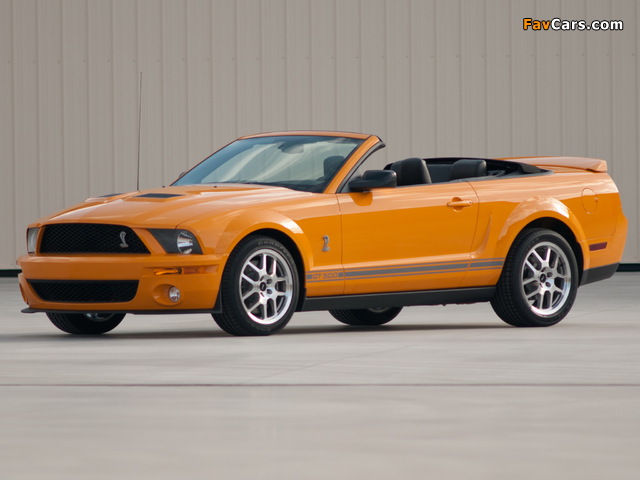 Shelby GT500 Convertible 2005–08 photos (640 x 480)