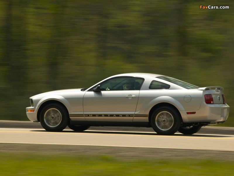Mustang Coupe 2005–08 photos (800 x 600)