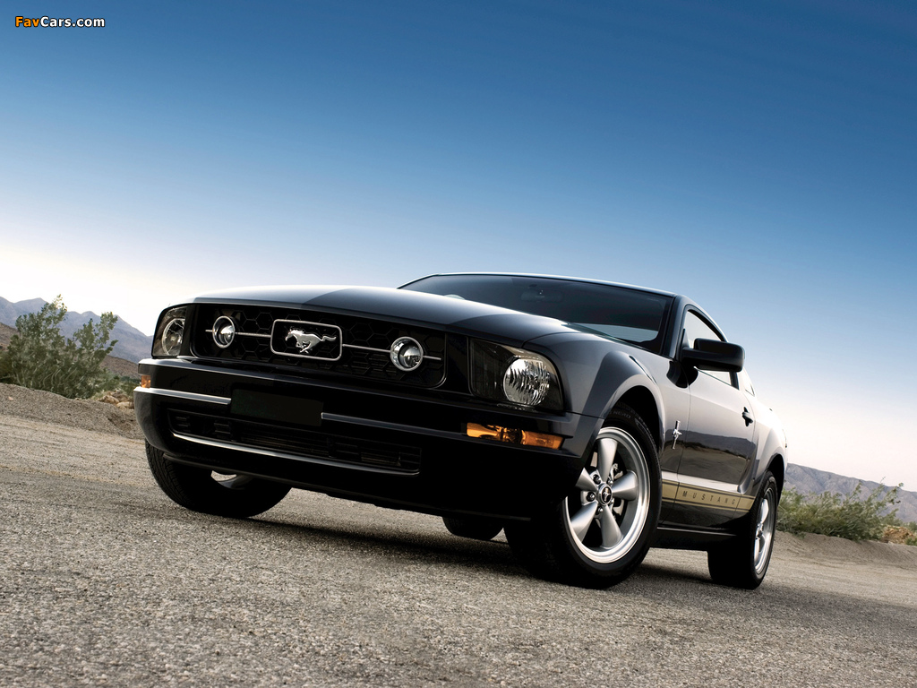 Mustang Coupe 2005–08 pictures (1024 x 768)
