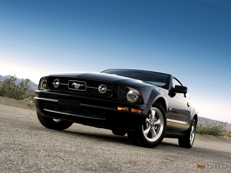 Mustang Coupe 2005–08 pictures (800 x 600)
