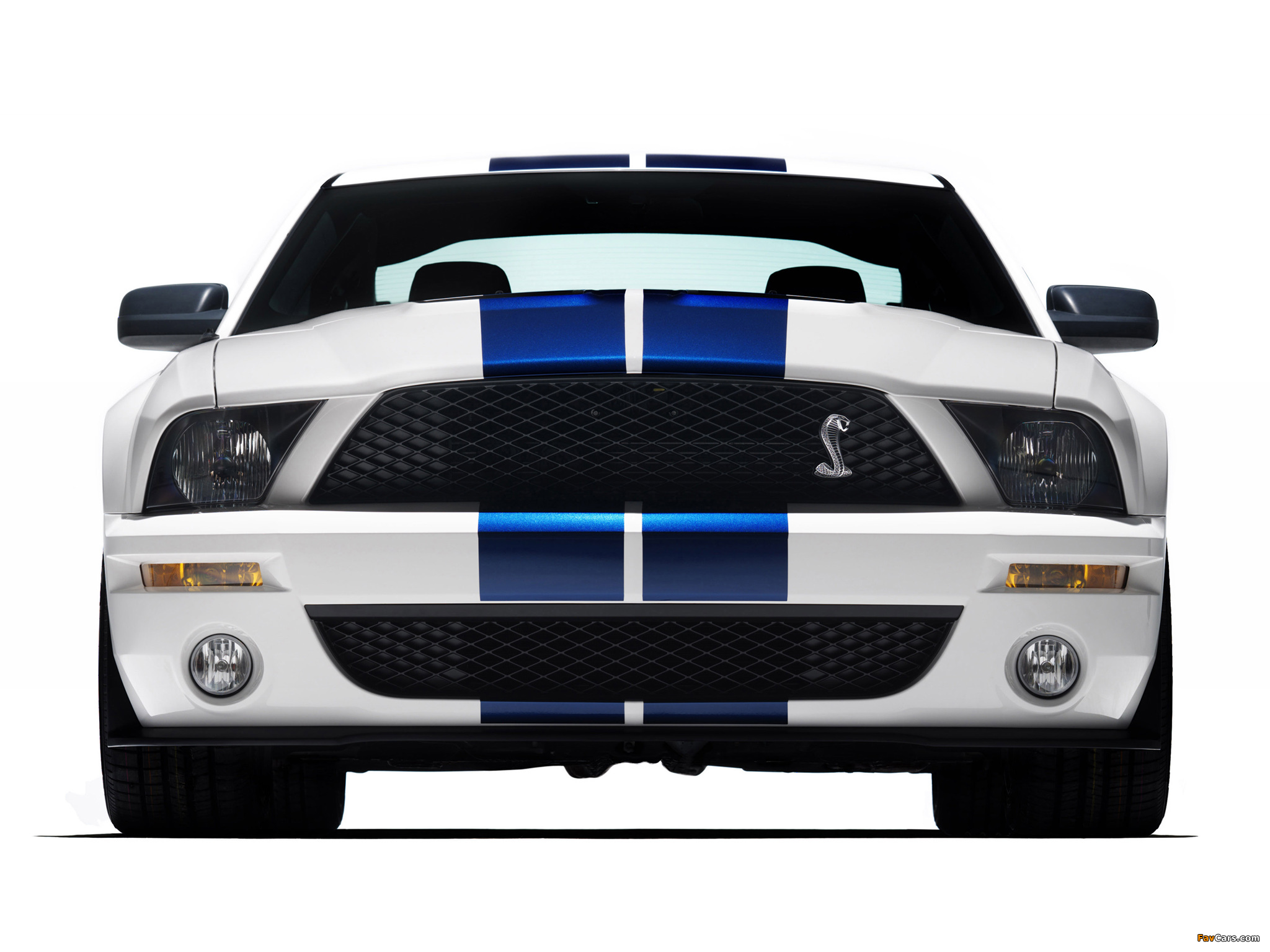 Shelby GT500 2005–08 pictures (2048 x 1536)