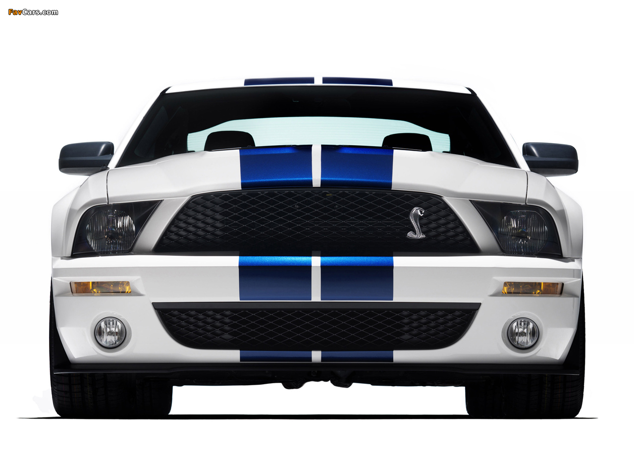 Shelby GT500 2005–08 pictures (1280 x 960)