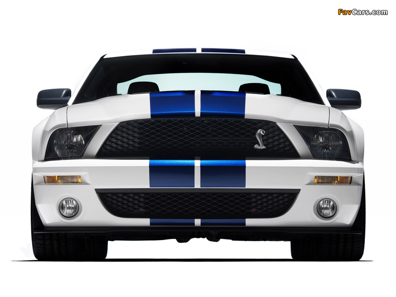 Shelby GT500 2005–08 pictures (800 x 600)