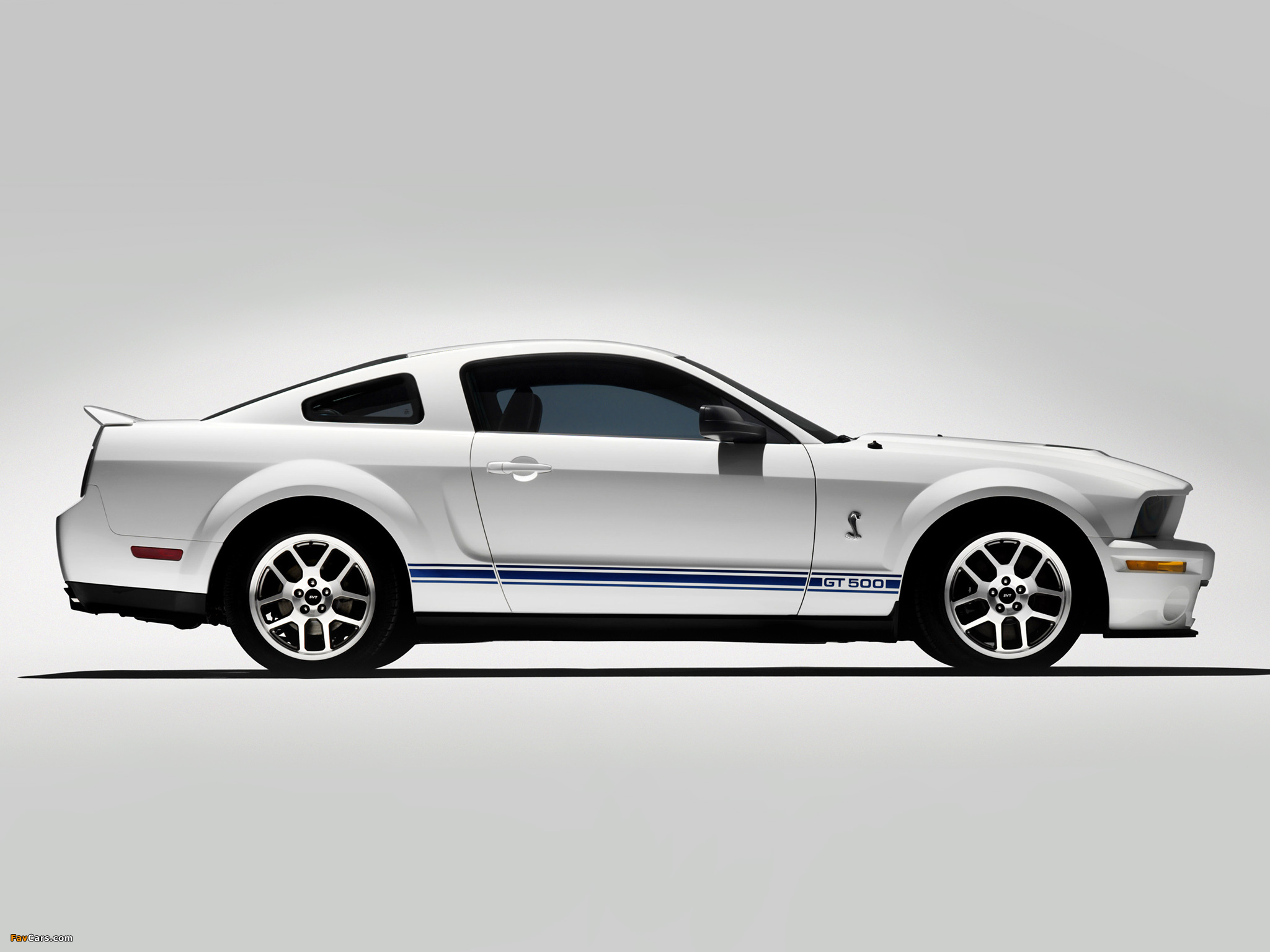 Shelby GT500 2005–08 pictures (2048 x 1536)