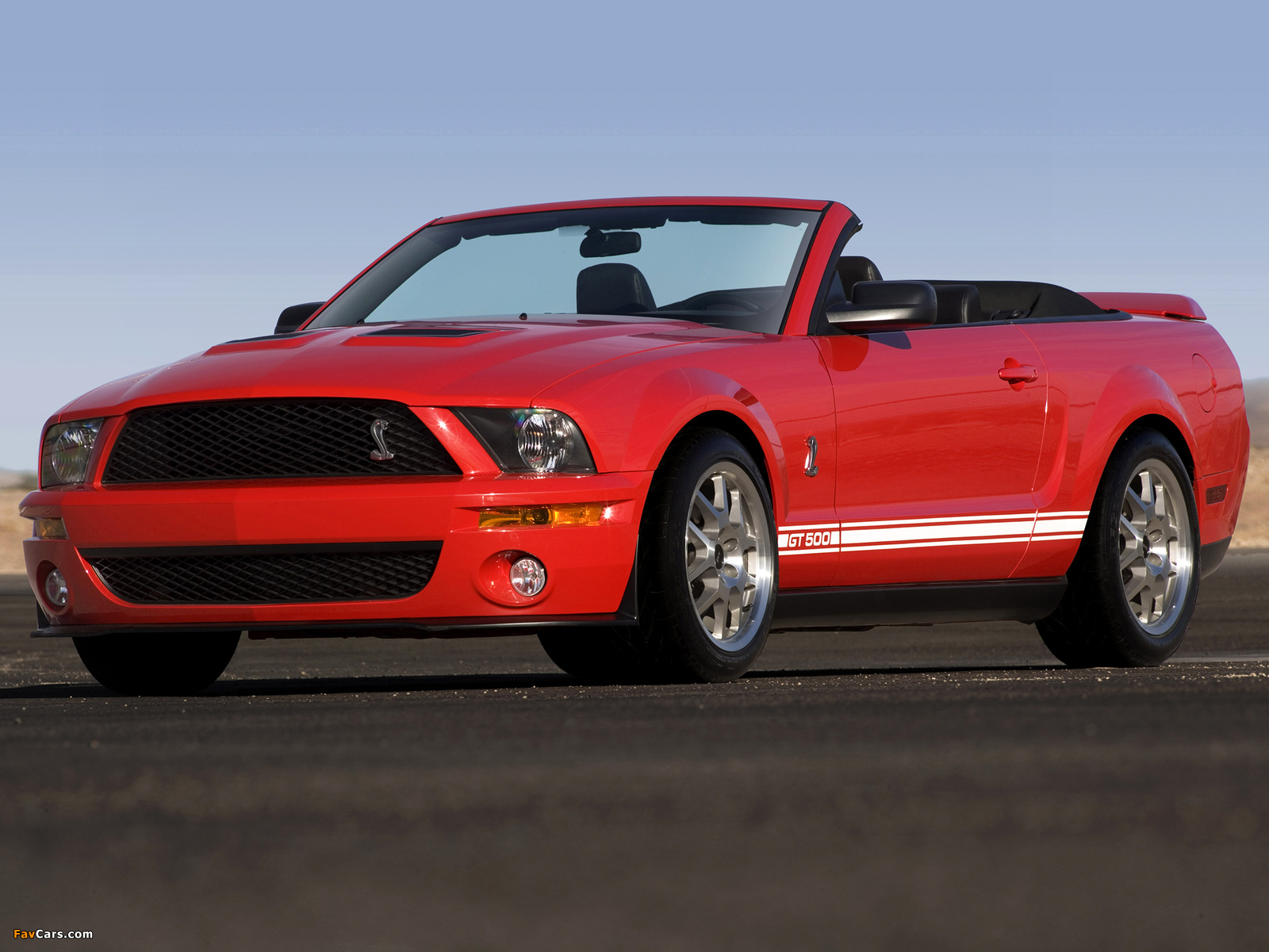 Shelby GT500 Convertible 2005–08 pictures (1600 x 1200)