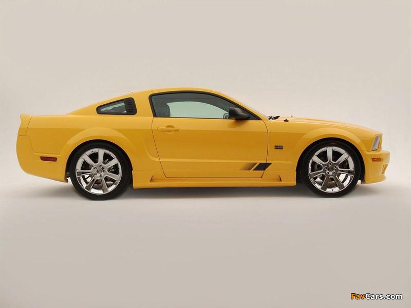 Saleen S281 3-valve 2005–08 pictures (800 x 600)