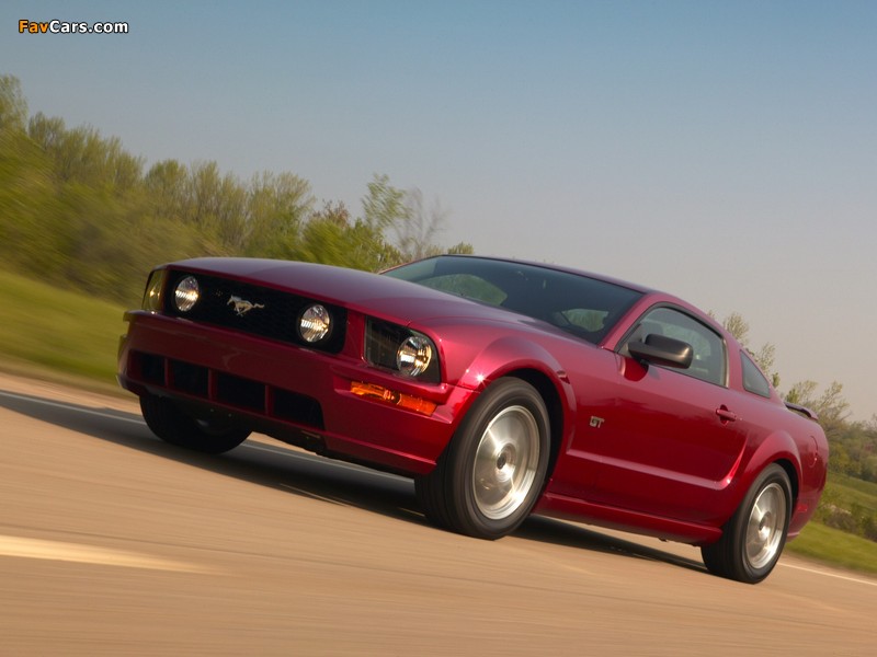 Mustang GT 2005–08 pictures (800 x 600)