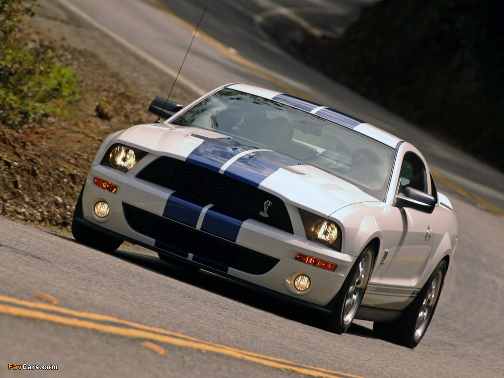 Shelby GT500 2005–08 pictures (1024 x 768)
