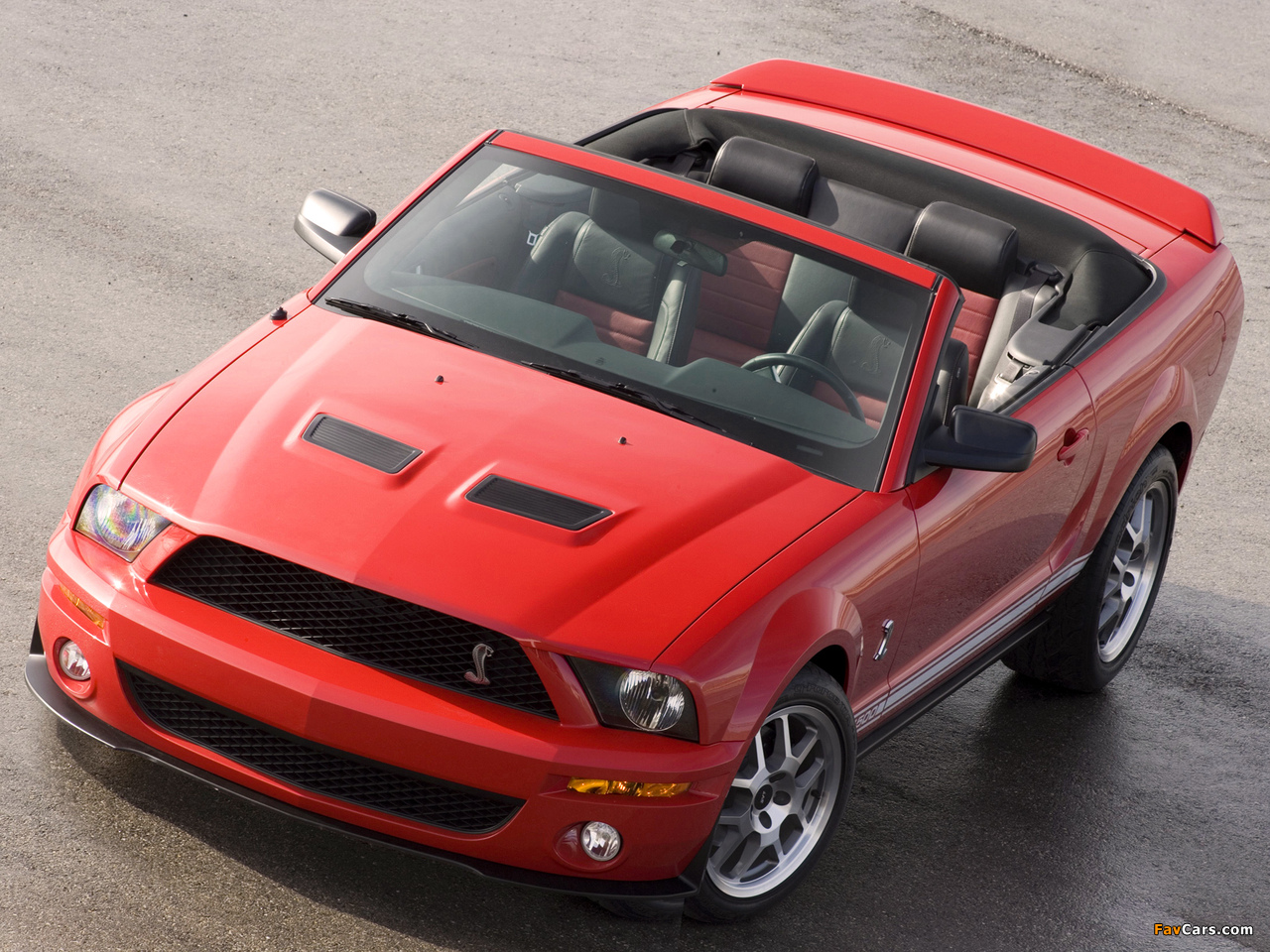 Shelby GT500 Convertible 2005–08 wallpapers (1280 x 960)