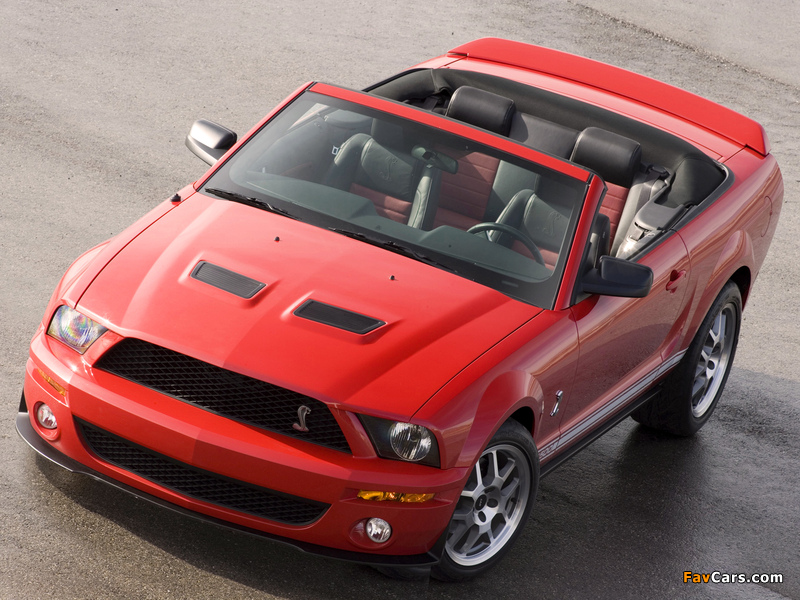 Shelby GT500 Convertible 2005–08 wallpapers (800 x 600)