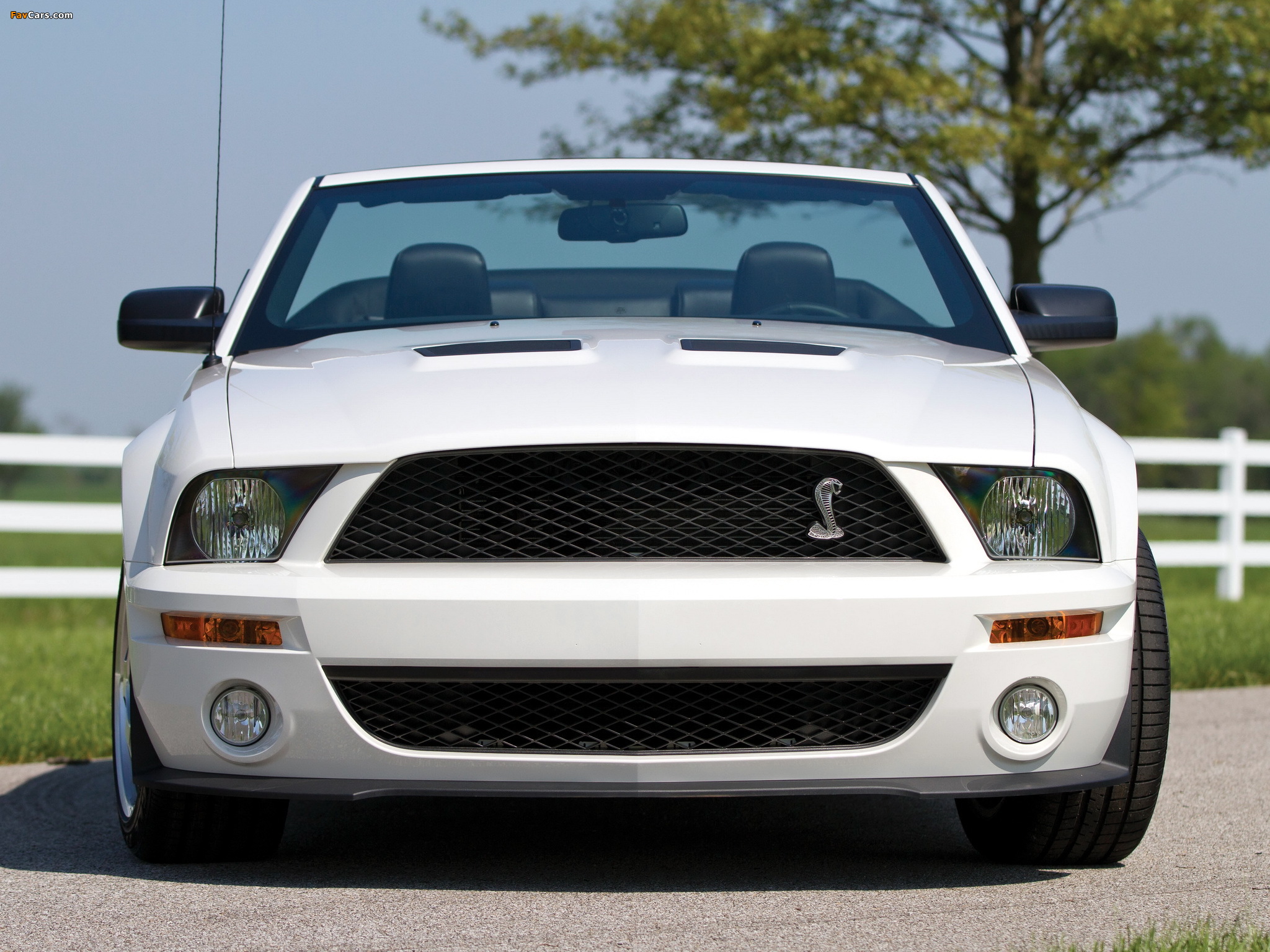 Shelby GT500 Convertible 2005–08 wallpapers (2048 x 1536)
