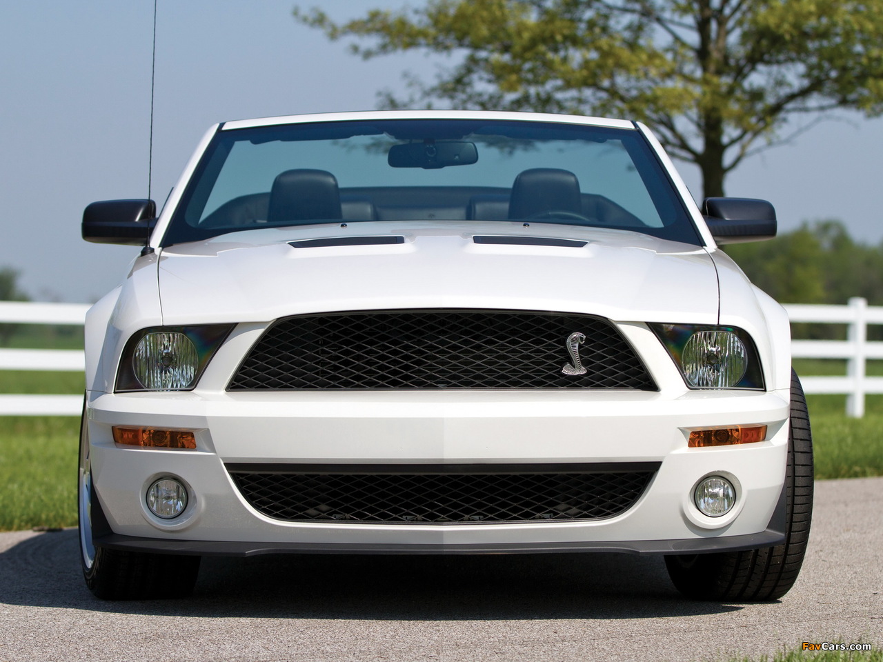 Shelby GT500 Convertible 2005–08 wallpapers (1280 x 960)