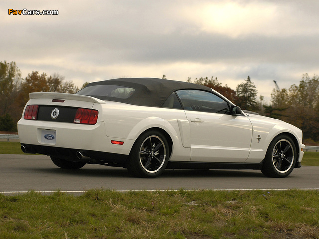 Ford Project Mustang GT Convertible 2006 pictures (640 x 480)
