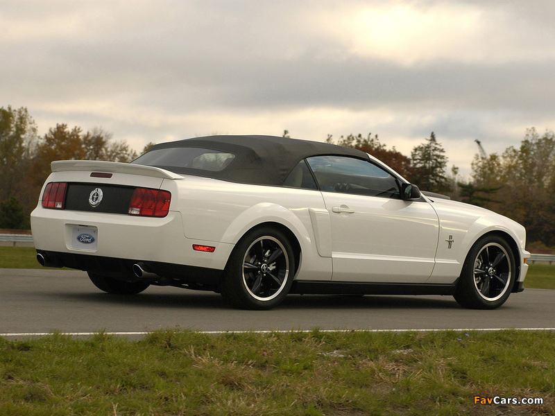 Ford Project Mustang GT Convertible 2006 pictures (800 x 600)