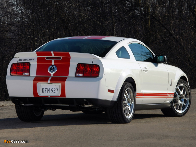 Shelby GT500 Red Stripe Appearance Package 2007 photos (800 x 600)