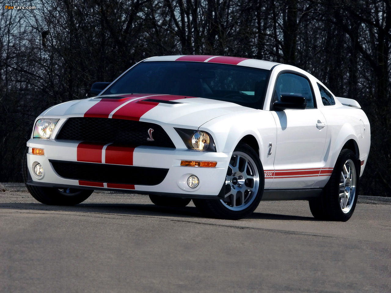 Shelby GT500 Red Stripe Appearance Package 2007 pictures (1280 x 960)