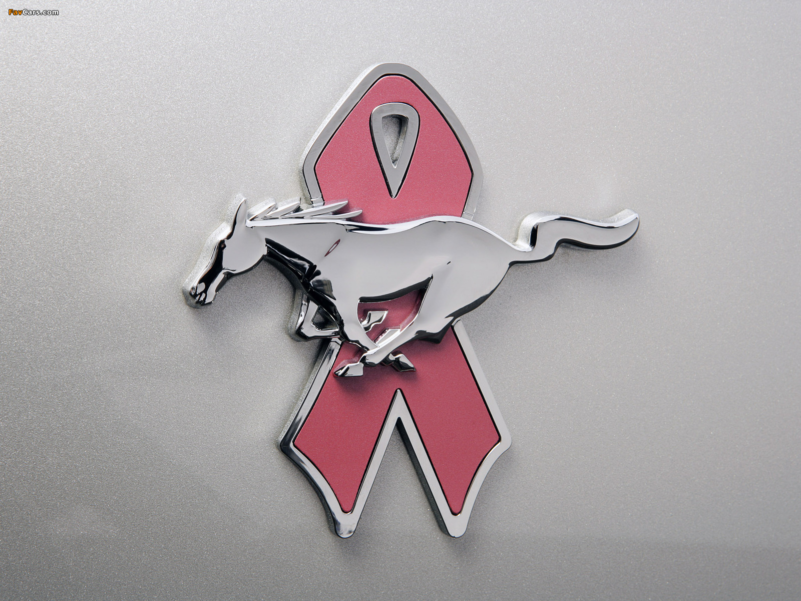 Mustang Coupe Warriors in Pink 2008 photos (1600 x 1200)