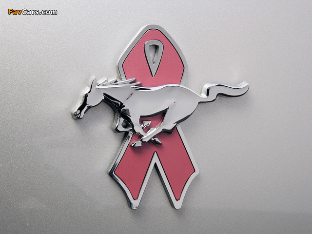 Mustang Coupe Warriors in Pink 2008 photos (640 x 480)