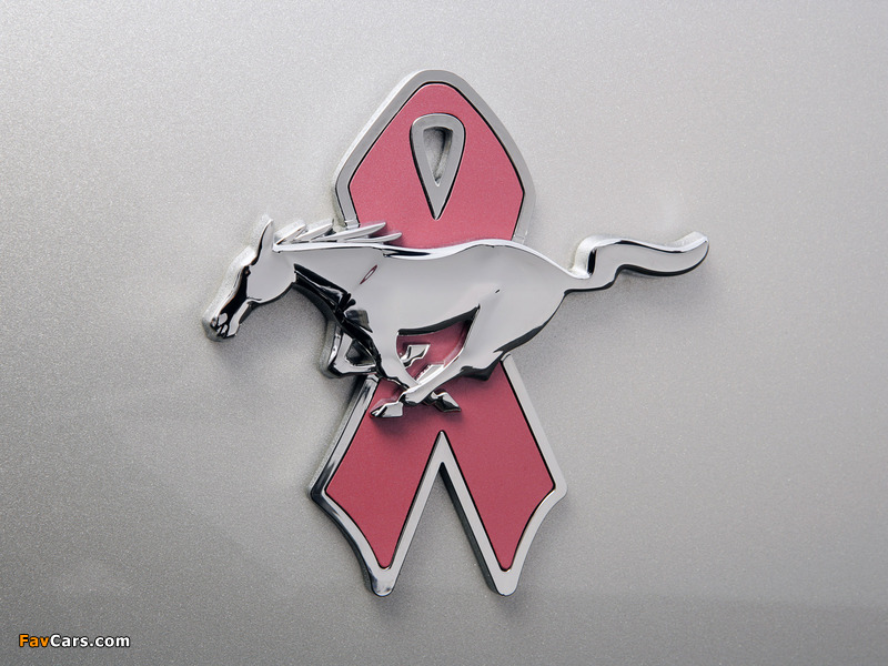 Mustang Coupe Warriors in Pink 2008 photos (800 x 600)