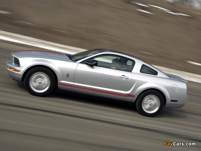 Mustang Coupe Warriors in Pink 2008 pictures (640 x 480)