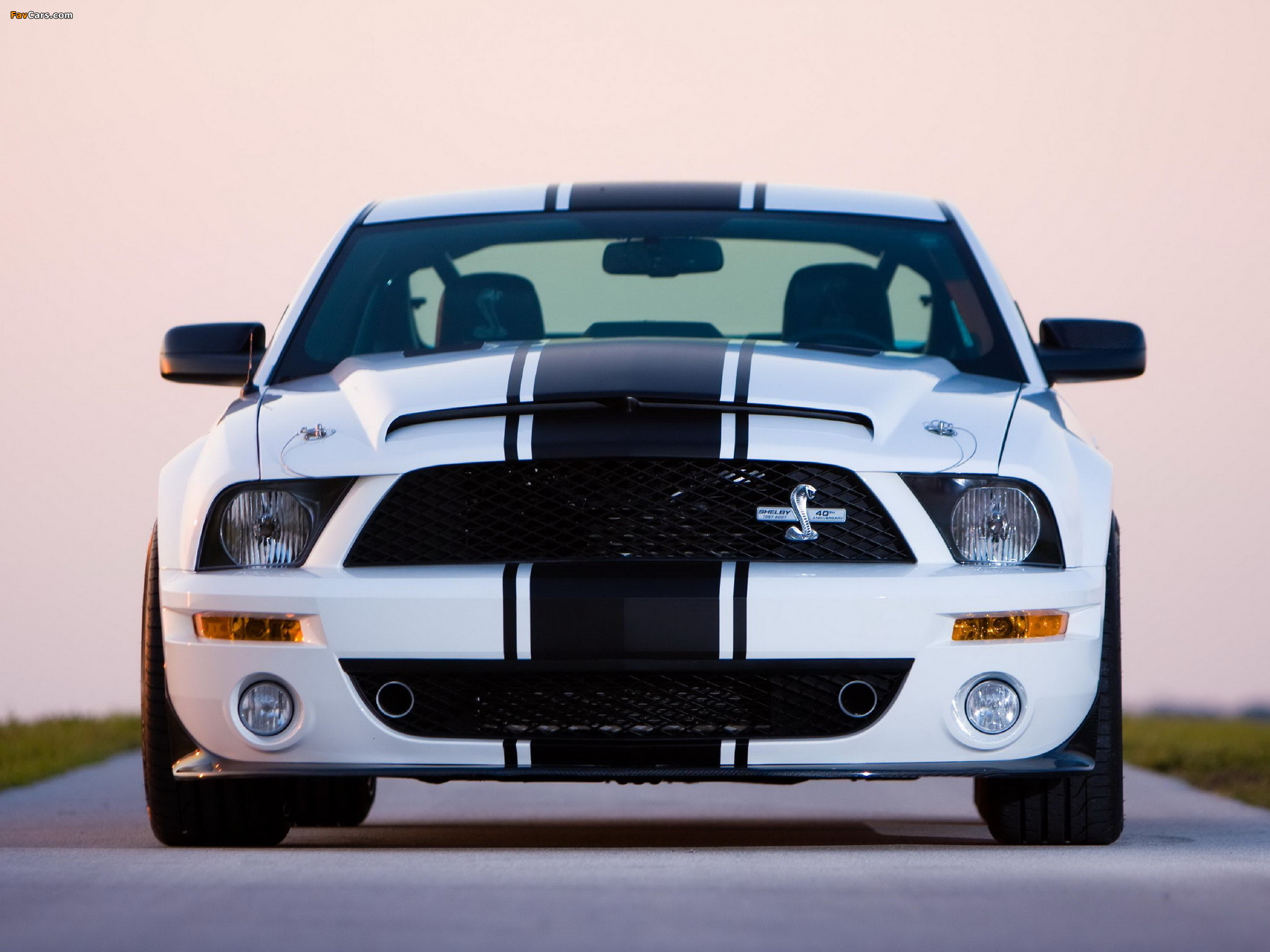 Shelby GT500 Super Snake 2008–10 wallpapers (2048 x 1536)