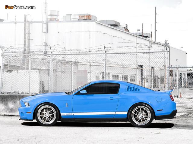 Shelby GT500 2009–10 images (640 x 480)