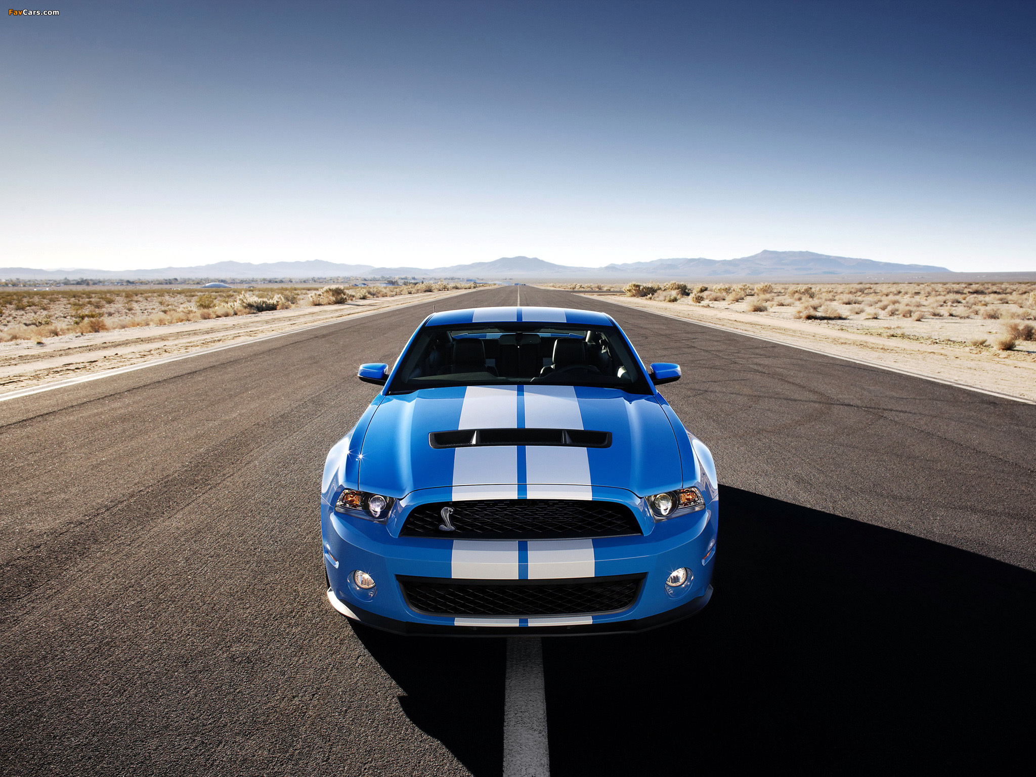 Shelby GT500 2009–10 pictures (2048 x 1536)