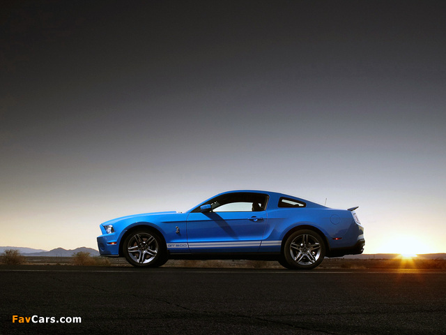 Shelby GT500 2009–10 pictures (640 x 480)