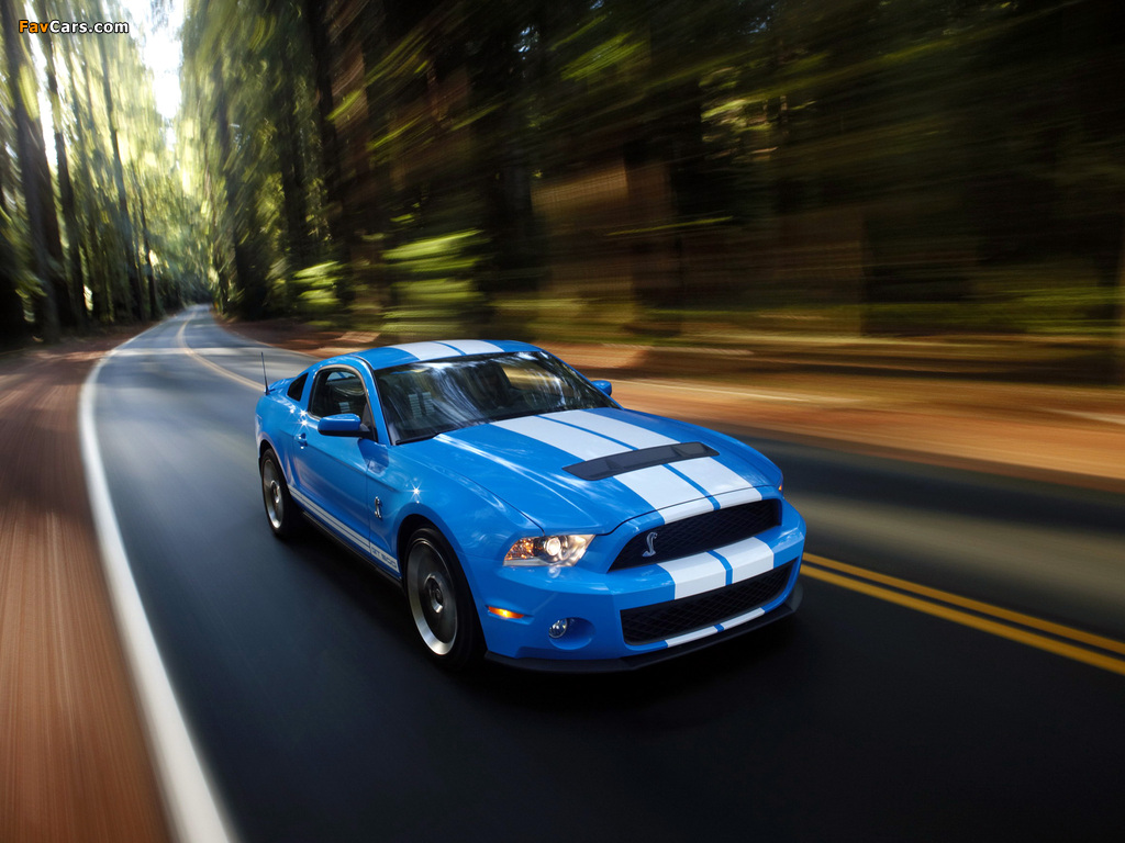 Shelby GT500 2009–10 pictures (1024 x 768)