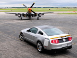 Mustang AV-X10 Dearborn Doll 2009 wallpapers