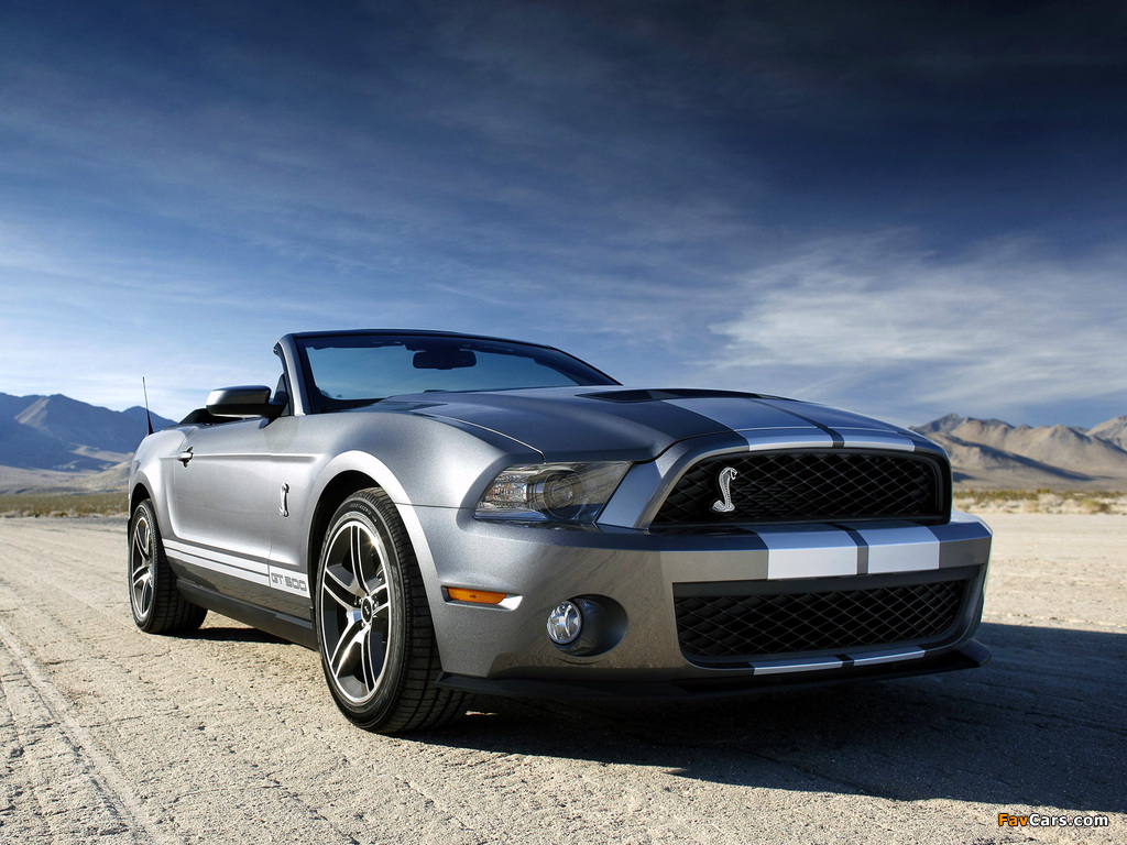 Shelby GT500 Convertible SVT 2009–10 wallpapers (1024 x 768)