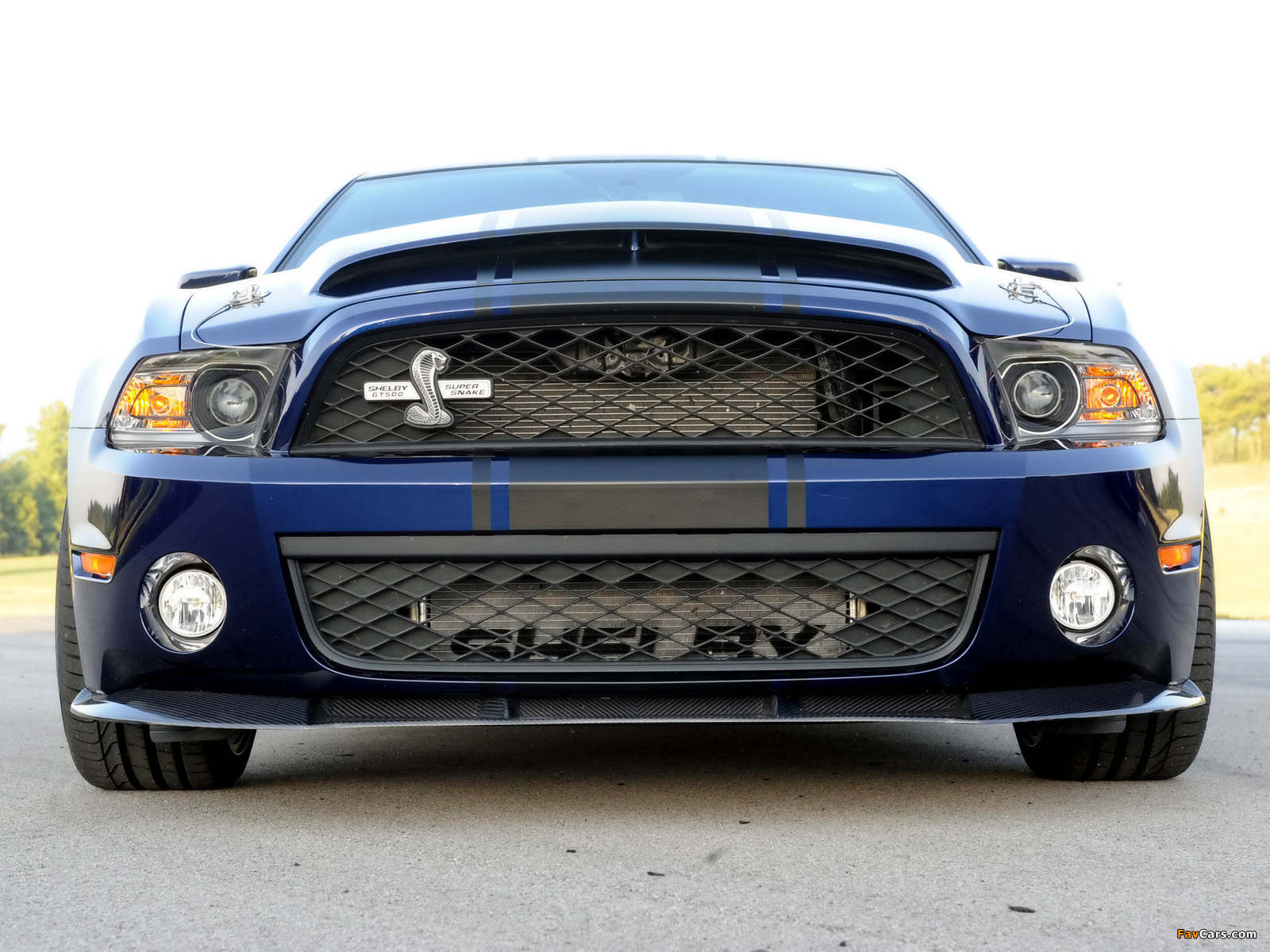 Shelby GT500 Super Snake 2010–11 images (1600 x 1200)