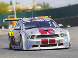 Mustang GT3 2010 images