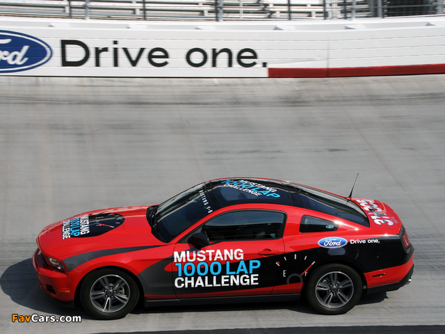 Mustang V6 1000 Lap Challenge 2010 pictures (640 x 480)