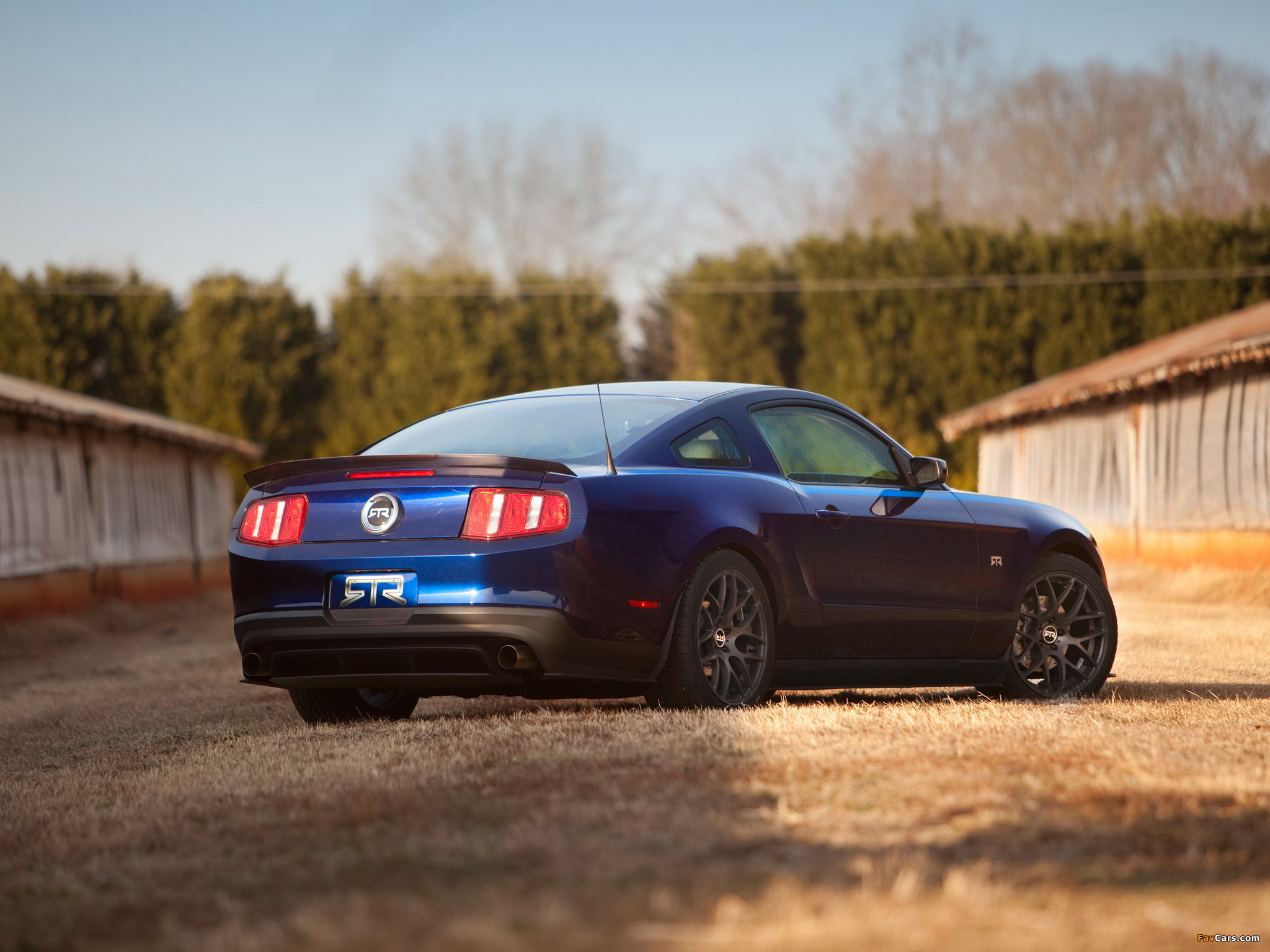 Mustang RTR Package 2010–11 pictures (2048 x 1536)